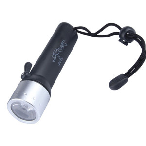 Up to 20 meters Submersible LED Torch
